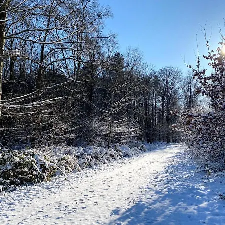 Vakantiewoning Hakuna Matata * Geraardsbergen
