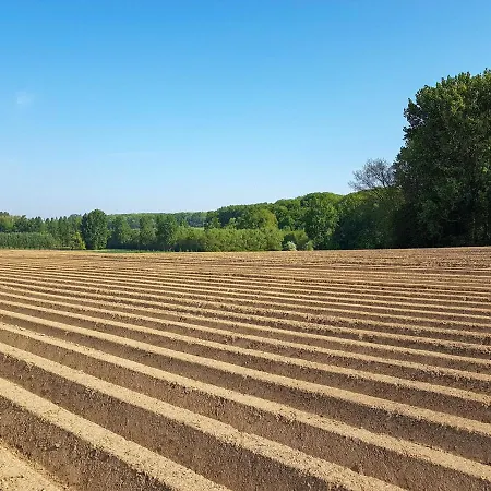 Vakantiewoning Hakuna Matata * Geraardsbergen
