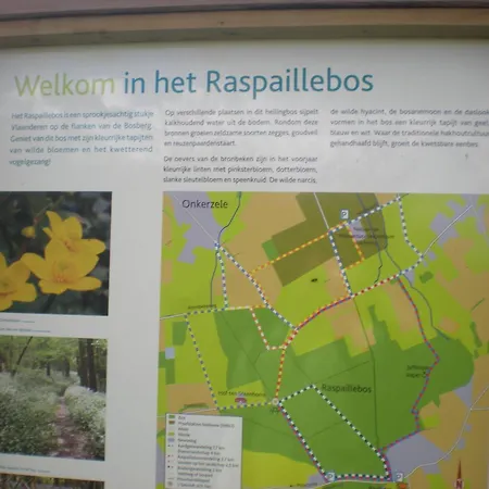 Vakantiehuis Vakantiewoning Hakuna Matata