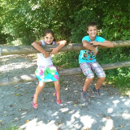 Vakantiehuis Vakantiewoning Hakuna Matata Geraardsbergen