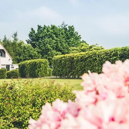 Vakantiehuis Vakantiewoning Hakuna Matata