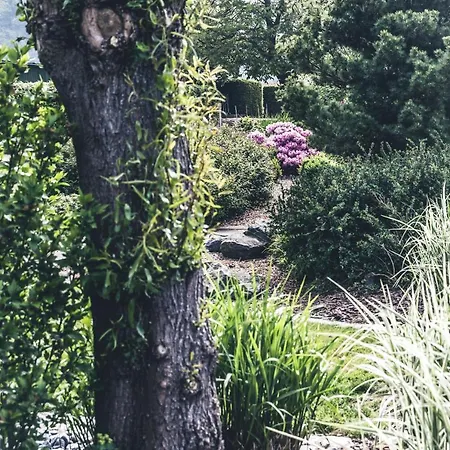 Vakantiewoning Hakuna Matata * Geraardsbergen